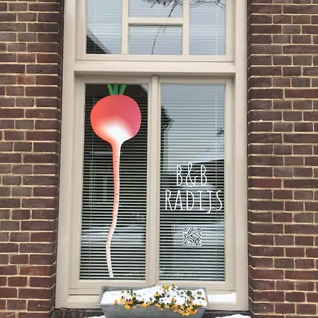 Radijs Beegden